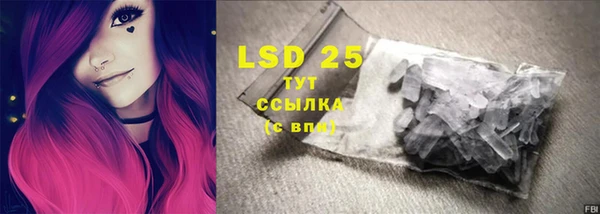 PSILOCYBIN Белокуриха