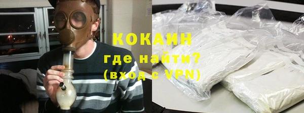 PSILOCYBIN Белокуриха