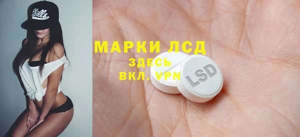 PSILOCYBIN Белокуриха