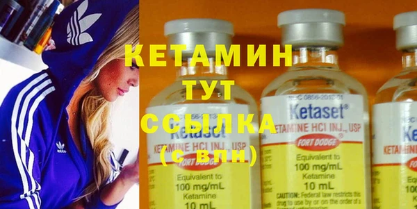 PSILOCYBIN Белокуриха