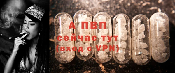 PSILOCYBIN Белокуриха