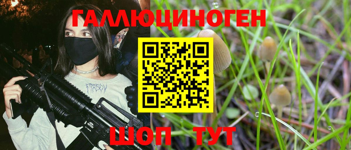 Галлюциногенные грибы GOLDEN TEACHER  Вход с VPN  Галлюциногенные грибы ЛСД  Вятские Поляны 