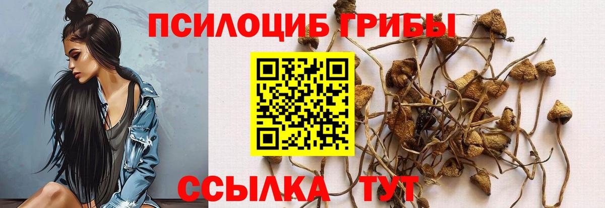 Галлюциногенные грибы GOLDEN TEACHER  цены наркотик  Вятские Поляны  Псилоцибиновые грибы Cubensis 